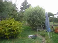 KorkenzieherWeißdornDSC01858.webp