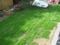 bild6.webp