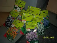 017.webp