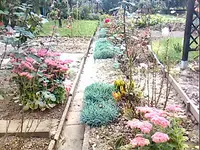 8179.webp