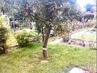 8182.webp