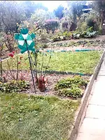 8192.webp