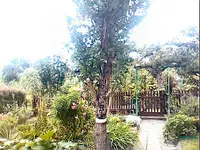 IMG030.webp