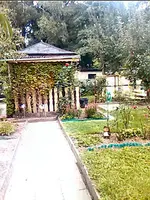 IMG031.webp