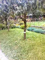 8196.webp