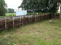 P8092041.webp