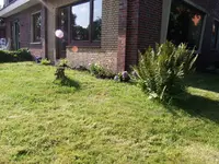 P8032010.webp