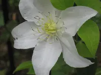 003.webp