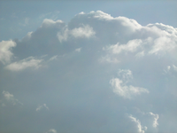 IMG_2679.webp