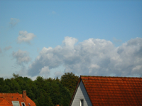 IMG_2680.webp