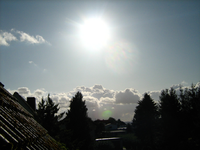 IMG_2682.webp