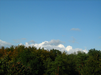 IMG_2683.webp