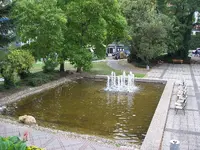 100_2995_800x600.webp