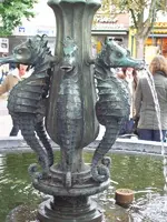 100_3002_600x800.webp