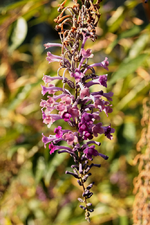 IMG_1764.webp
