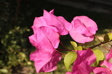 IMG_1804.webp