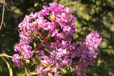 IMG_1892.webp