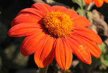 IMG_1904.webp