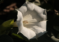 IMG_1912.webp