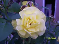 012.webp