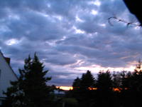 IMG_2684.webp