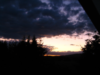 IMG_2685.webp
