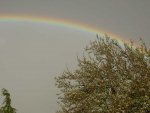 Regenbogen 004 v.jpg