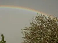 Regenbogen 004 v.webp