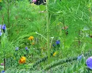 Bilder-canon025.webp