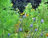 Bilder-canon026.webp