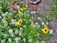 Bilder-canon027.webp