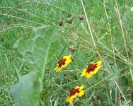 Bilder-canon028.webp