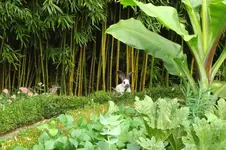 DSC05851.webp
