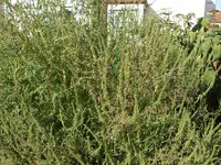 DSCF0790.webp
