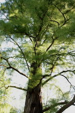 IMG_1734.webp