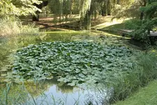 IMG_1740.webp