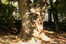 IMG_1749.webp