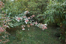 IMG_1760.webp