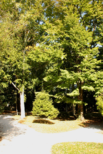 IMG_1766.webp