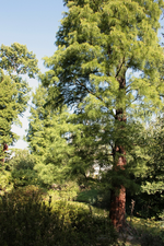 IMG_1774.webp