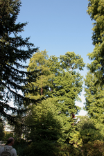 IMG_1775.webp