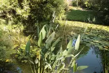 IMG_1782.webp