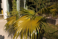 IMG_1800.webp