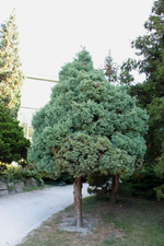 IMG_1806.webp