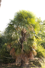 IMG_1830.webp