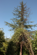 IMG_1915.webp