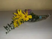 HPIM3088.webp