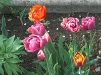 09-04-19_2.webp