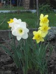 Frühjahr 09.JPG