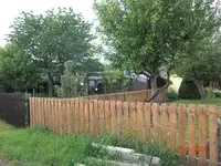 Zaun.webp